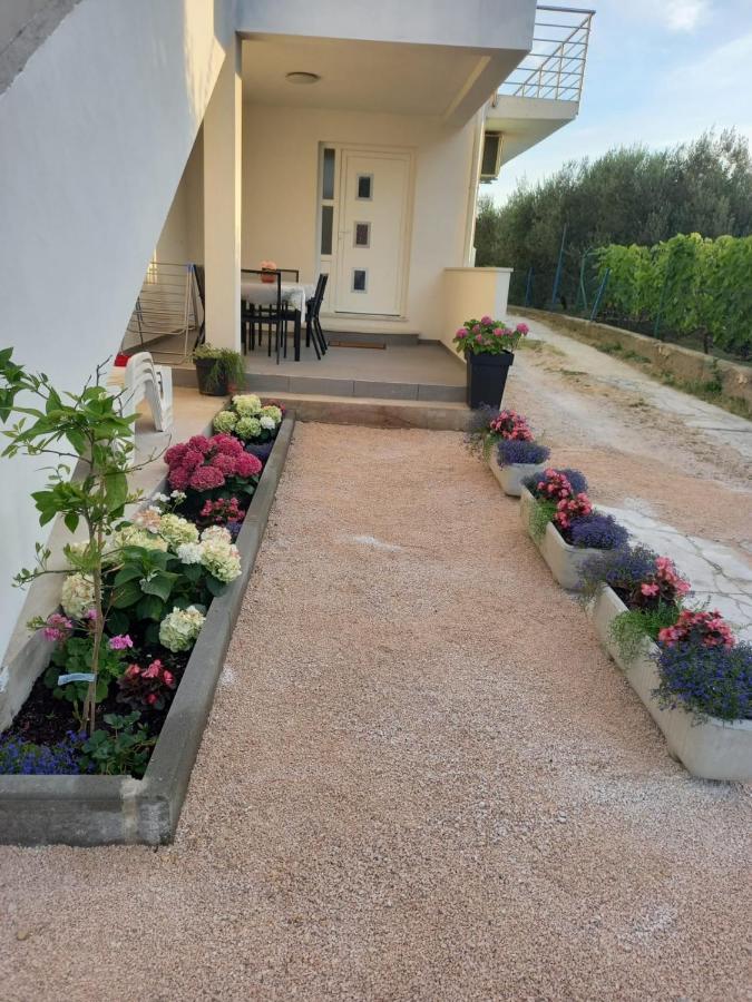 Apartmani Sara Bibinje Eksteriør billede